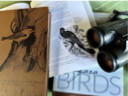 Bird books and binoculars